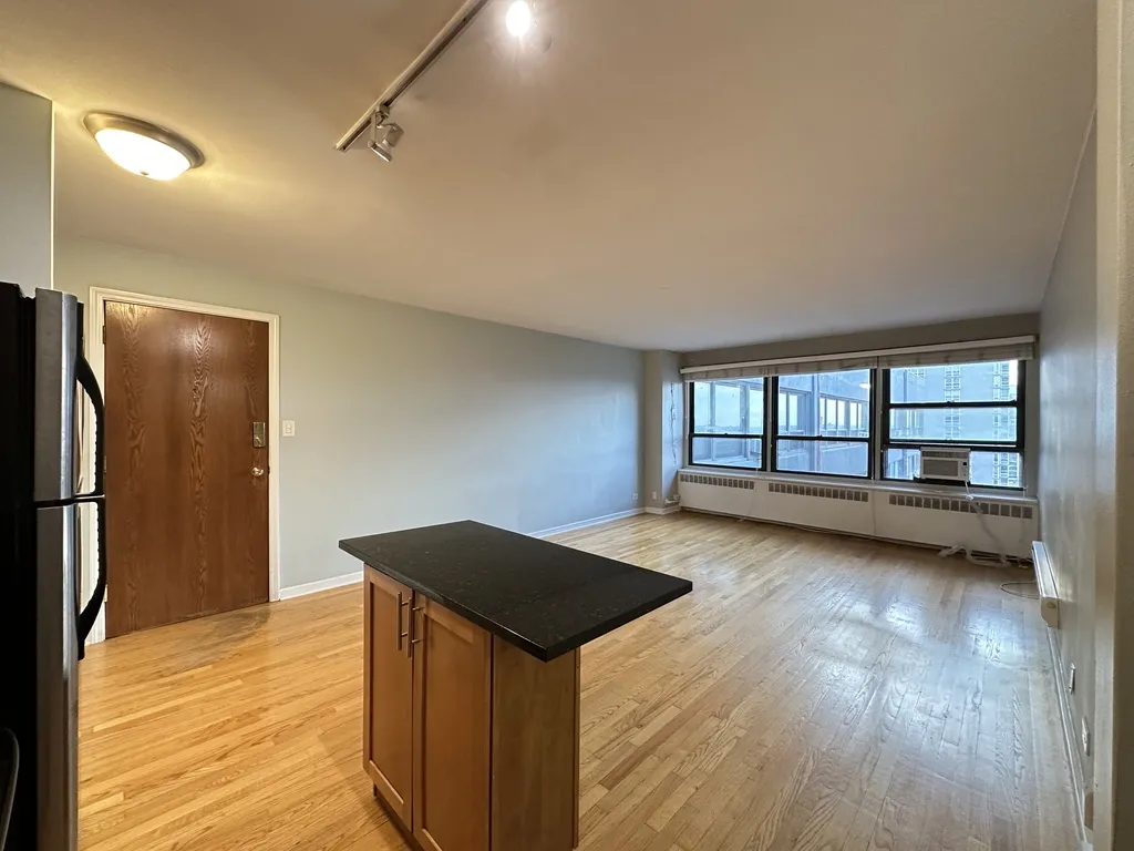 4180 N Marine Dr, , 60613, USA 60613-unit#1608-Chicago-IL