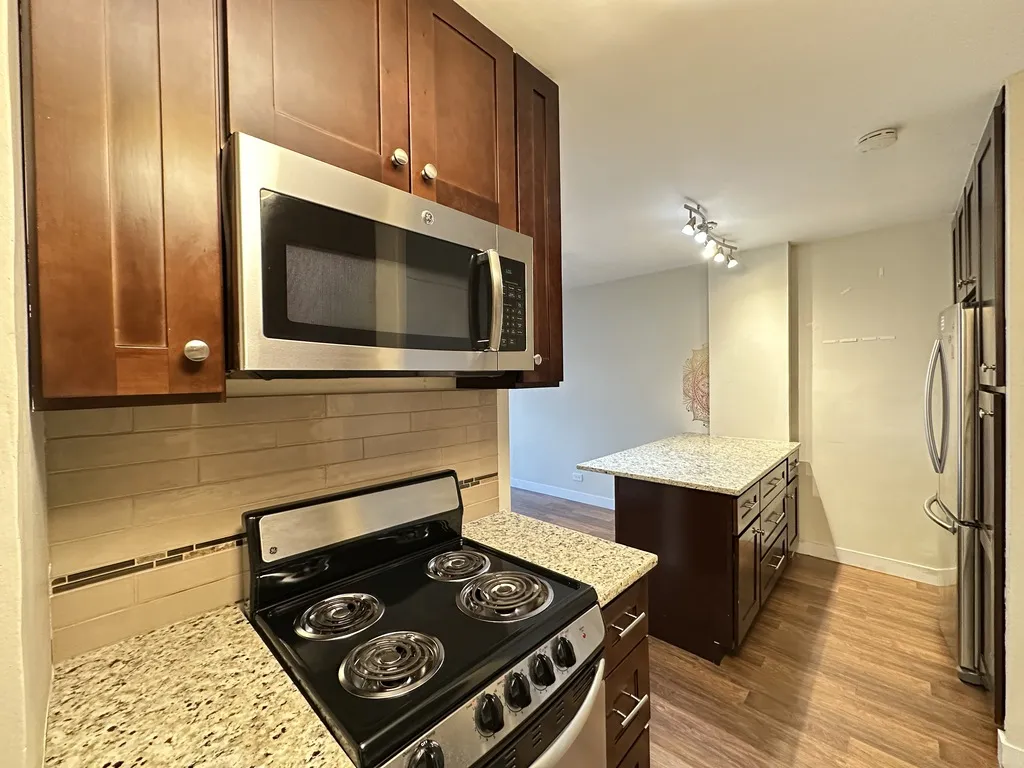 4180 N Marine Dr, , 60613, USA 60613-unit#1610-Chicago-IL