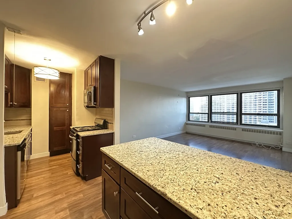 4180 N Marine Dr, , 60613, USA 60613-unit#1610-Chicago-IL