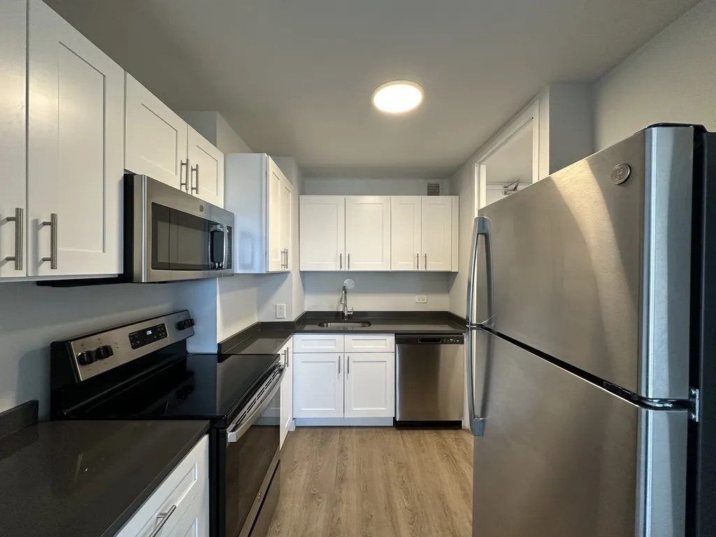 1344 N Dearborn St, ,  60610, USA 60610-unit#14B-Chicago-IL