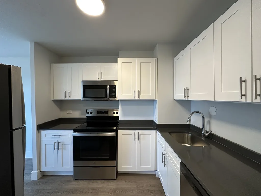 1344 N Dearborn St, ,  60610, USA 60610-unit#14B-Chicago-IL