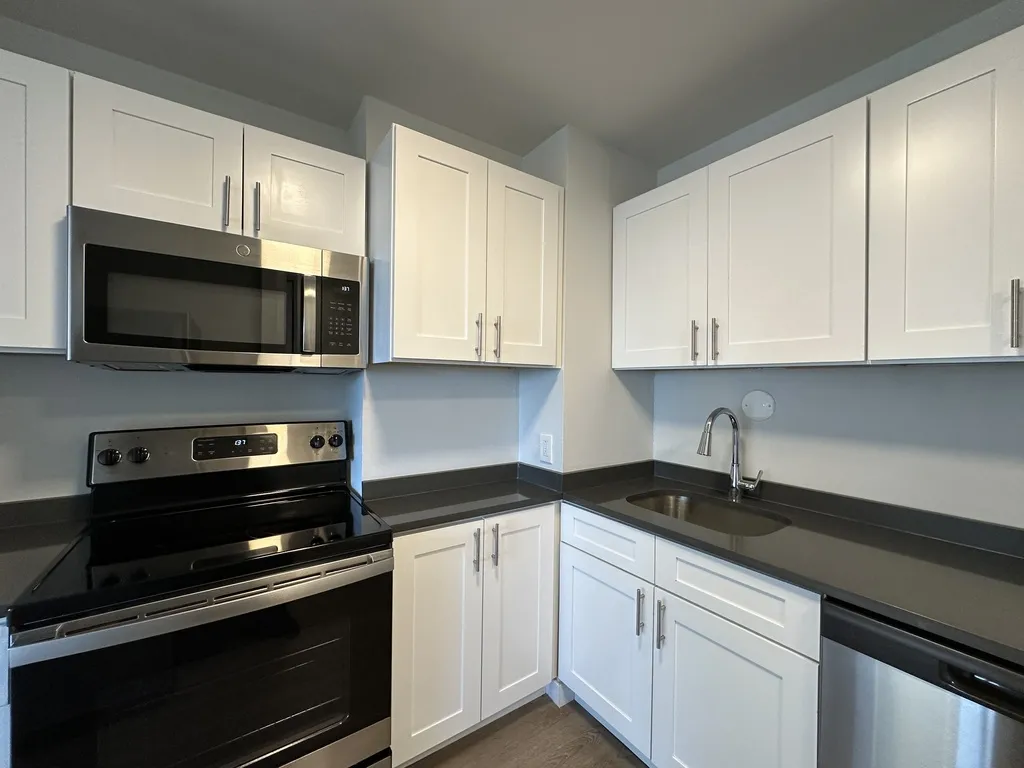 1344 N Dearborn St, ,  60610, USA 60610-unit#14B-Chicago-IL