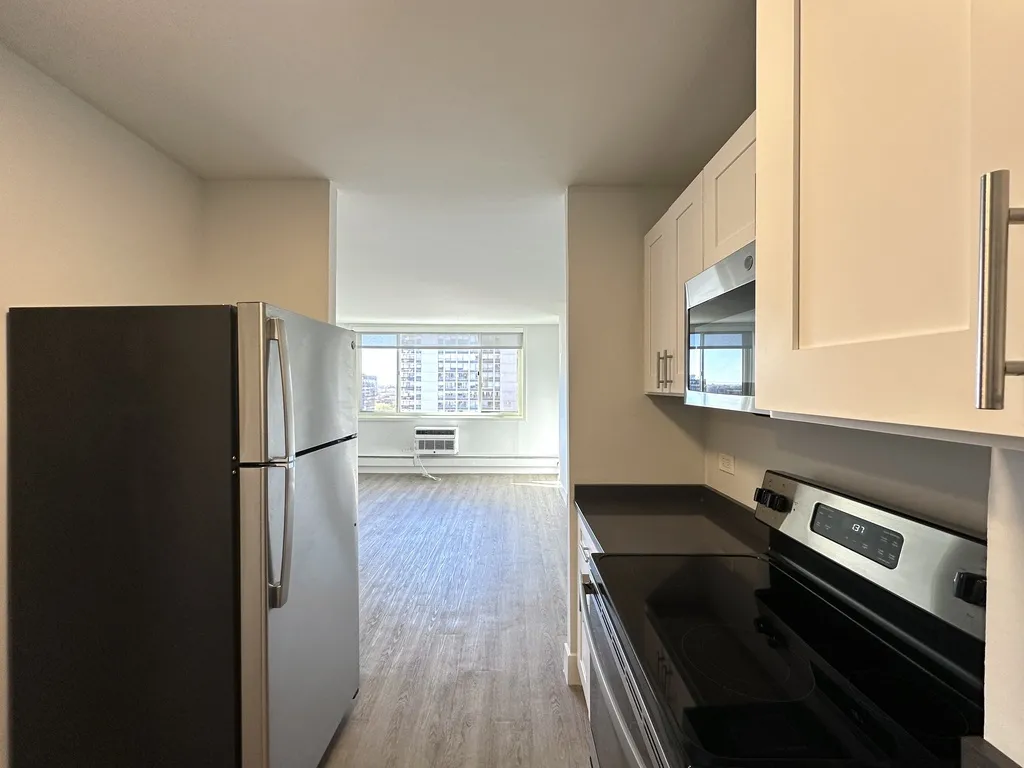 1344 N Dearborn St, ,  60610, USA 60610-unit#14B-Chicago-IL