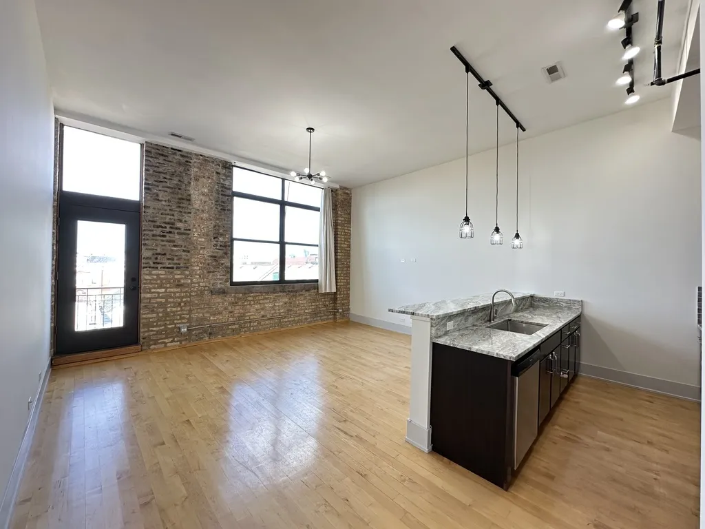 1432 W 21st St, ,  60608, USA 60608-unit#321-Chicago-IL