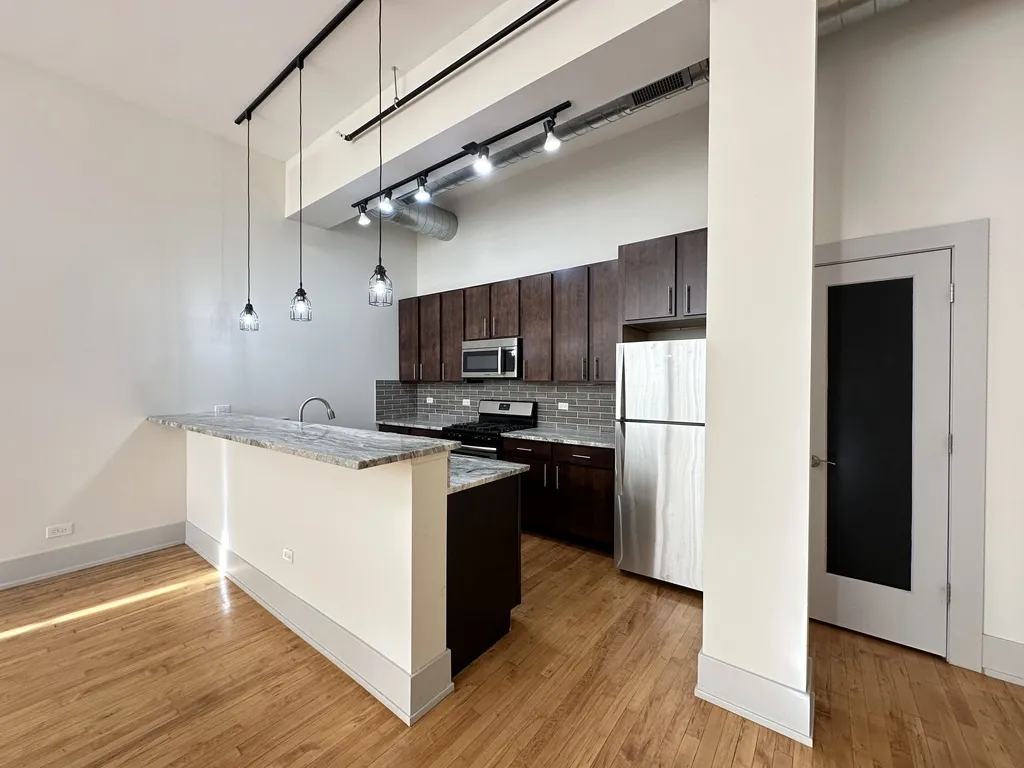 1432 W 21st St, ,  60608, USA 60608-unit#309-Chicago-IL