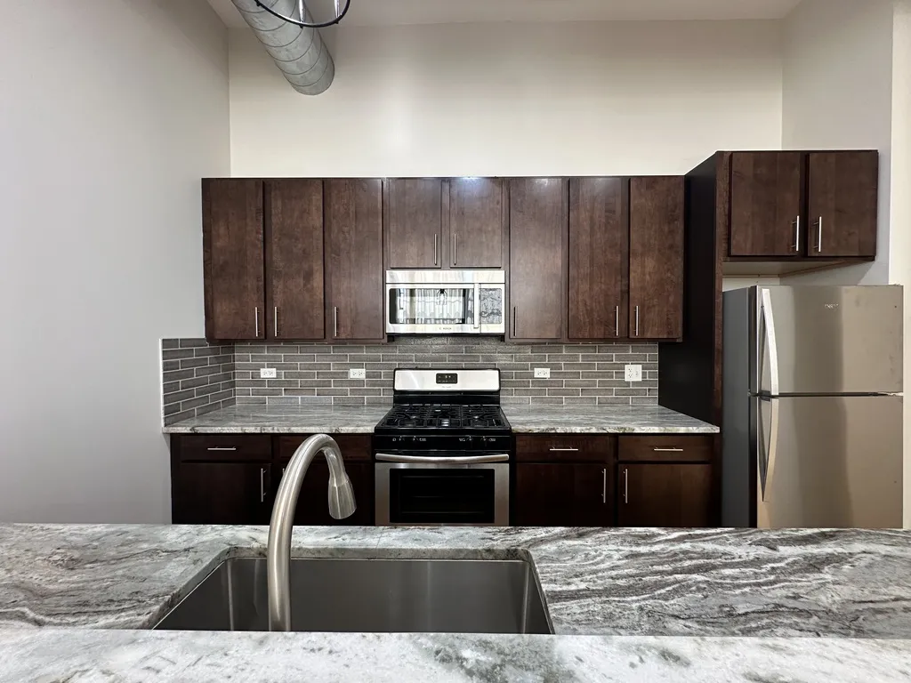 1432 W 21st St, ,  60608, USA 60608-unit#309-Chicago-IL