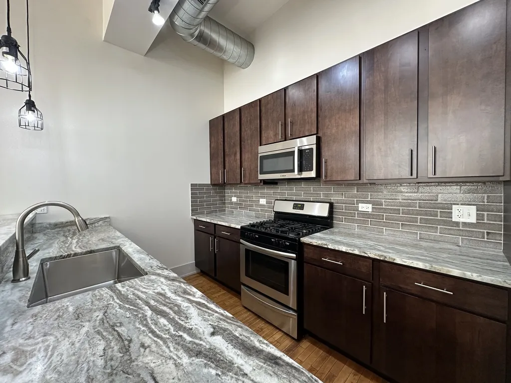 1432 W 21st St, ,  60608, USA 60608-unit#309-Chicago-IL