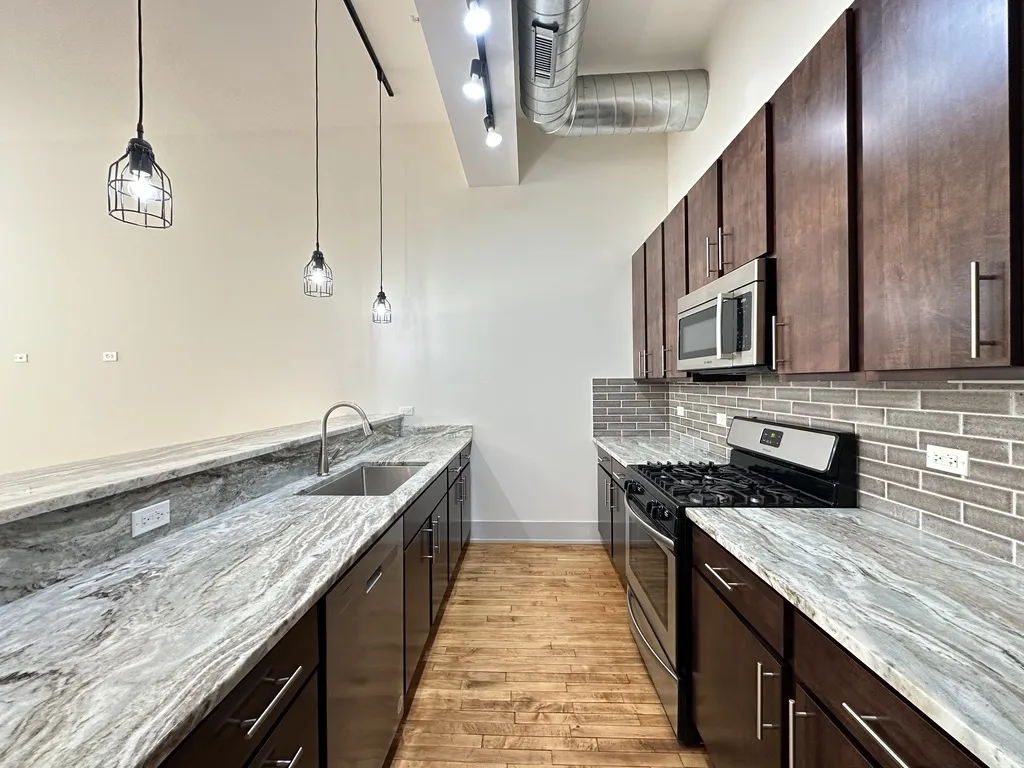 1432 W 21st St, ,  60608, USA 60608-unit#309-Chicago-IL