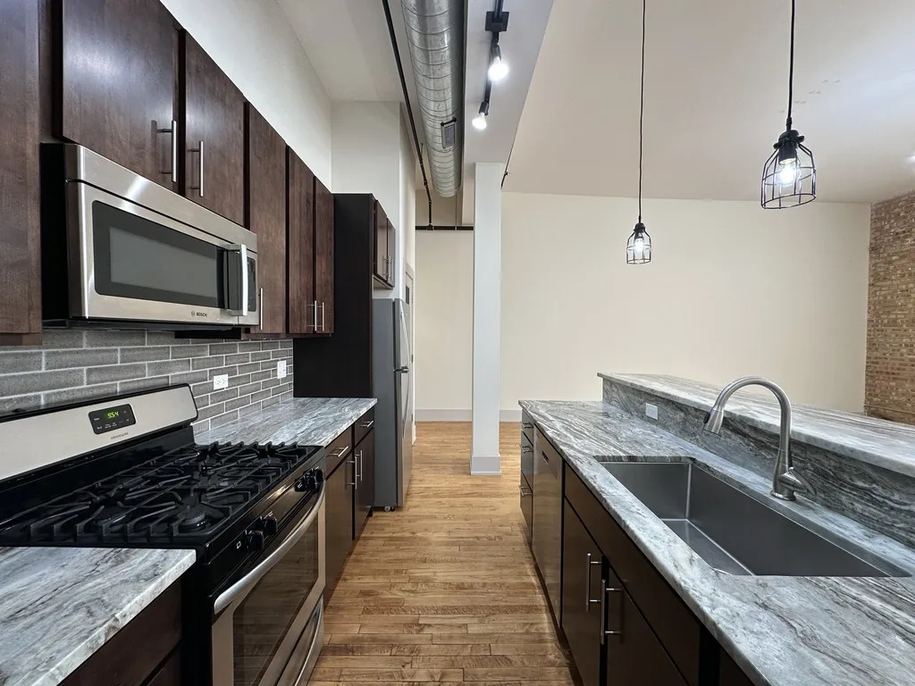 1432 W 21st St, ,  60608, USA 60608-unit#309-Chicago-IL