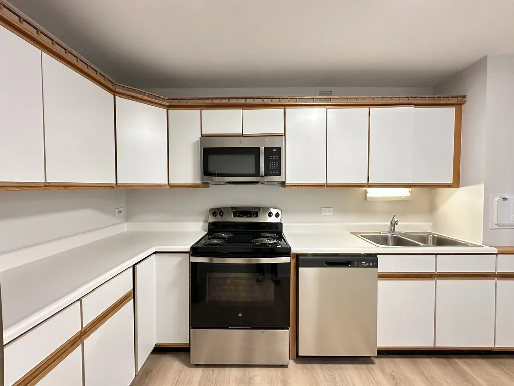 1344 N Dearborn St, ,  60610, USA 60610-unit#17K-Chicago-IL