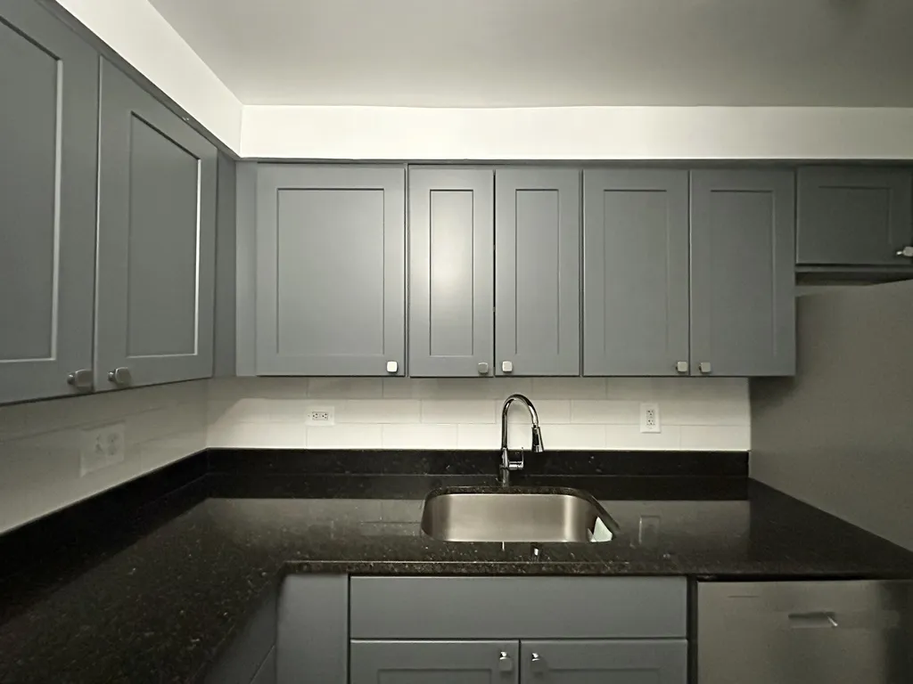 3825 N Pine Grove Ave, ,  60613, USA 60613-unit#103-Chicago-IL