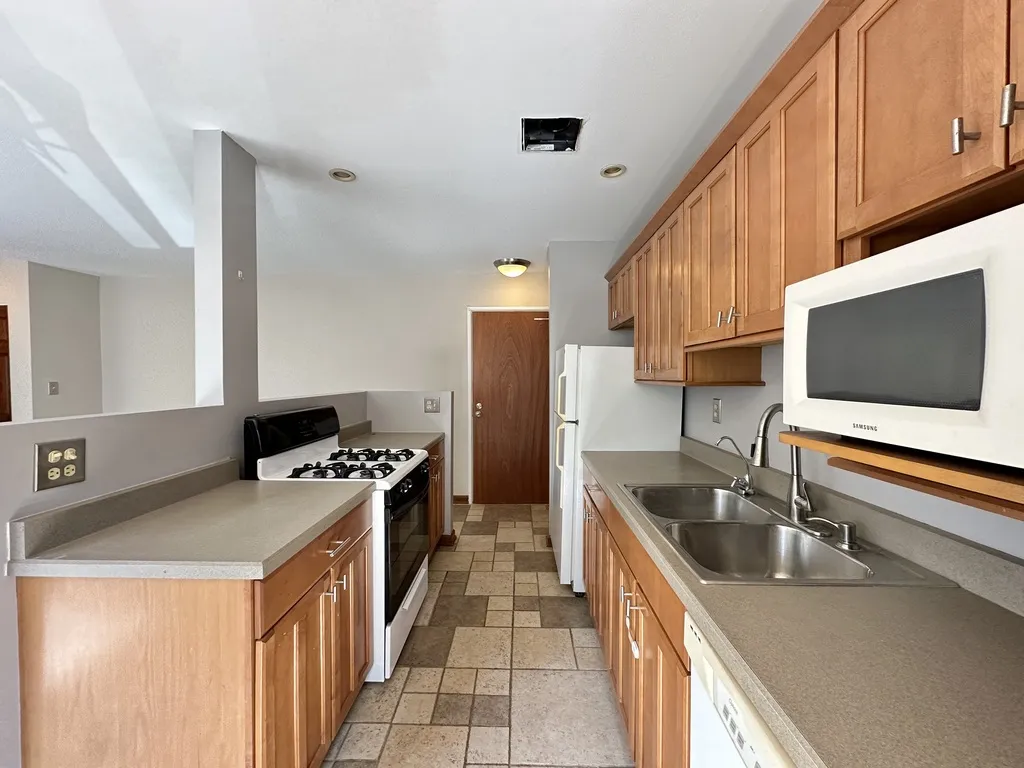 663 W Grace St, ,  60613, USA 60613-unit#207-Chicago-IL