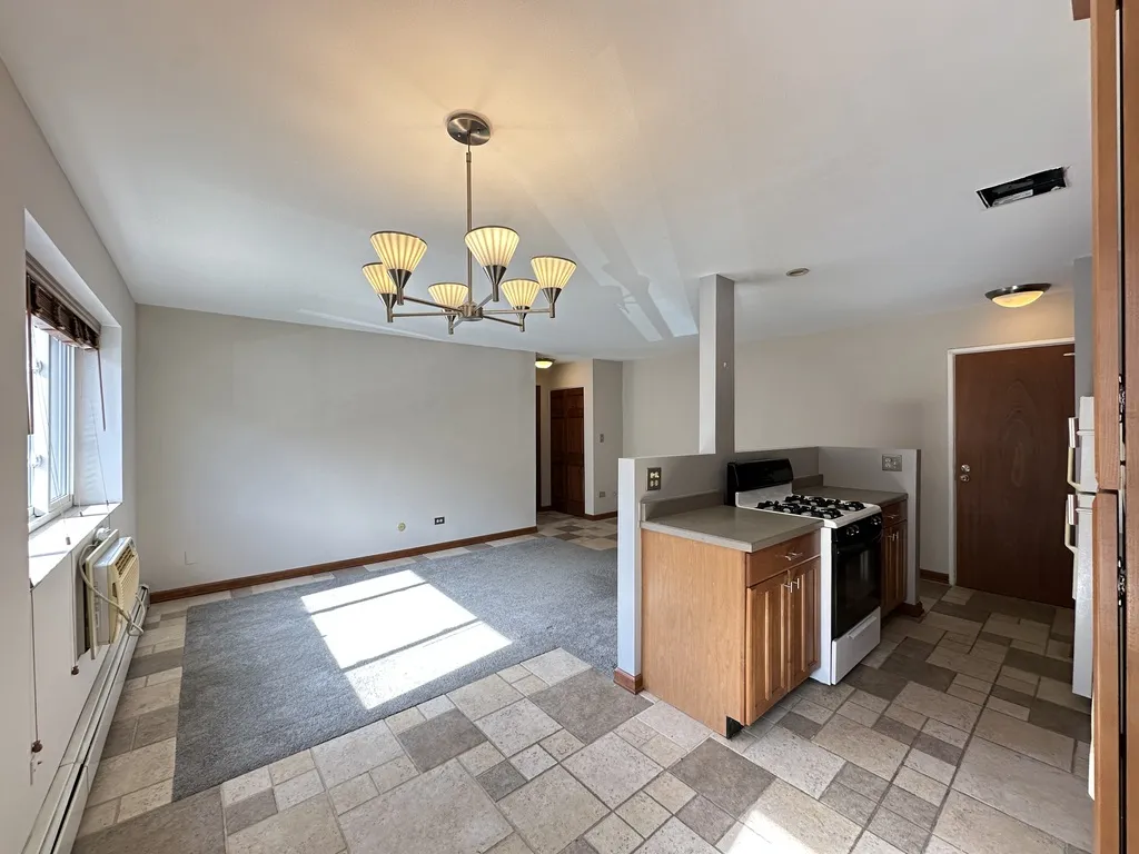 663 W Grace St, ,  60613, USA 60613-unit#207-Chicago-IL