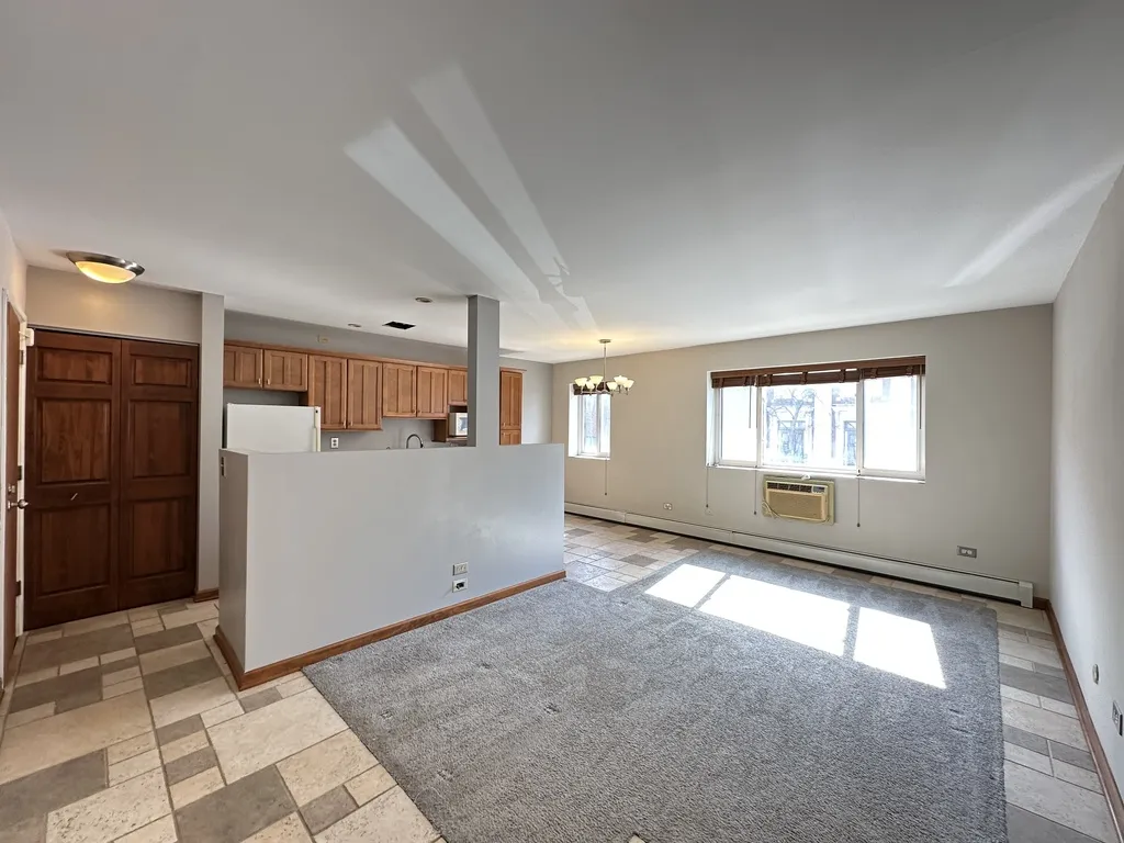 663 W Grace St, ,  60613, USA 60613-unit#207-Chicago-IL