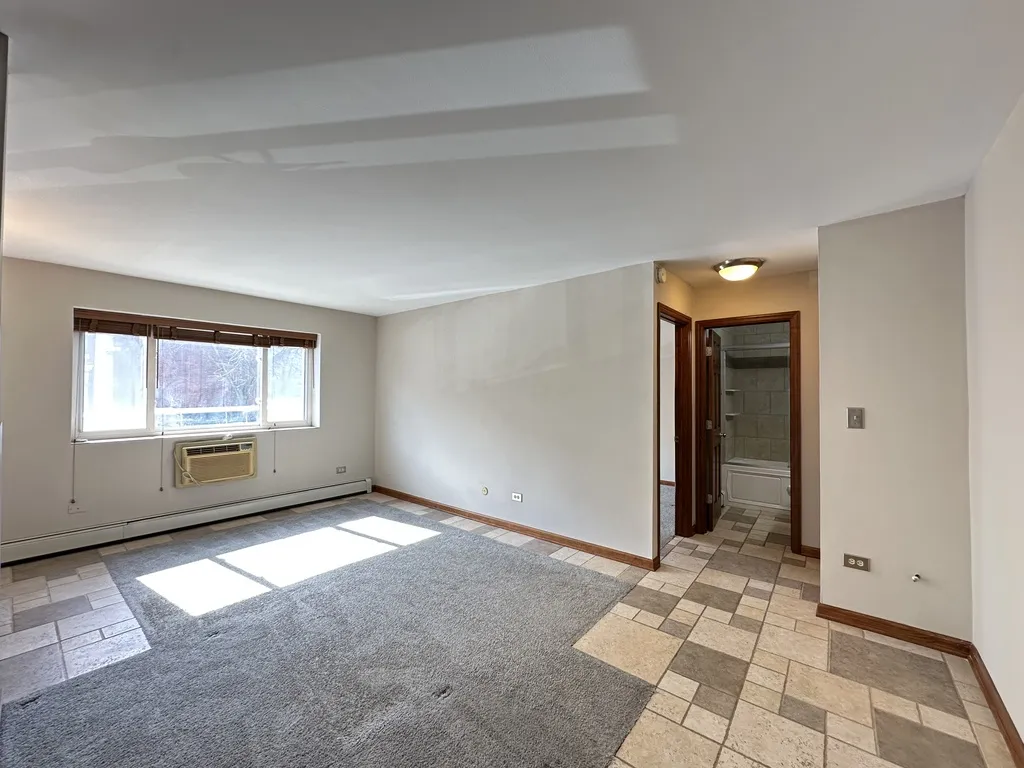 663 W Grace St, ,  60613, USA 60613-unit#207-Chicago-IL