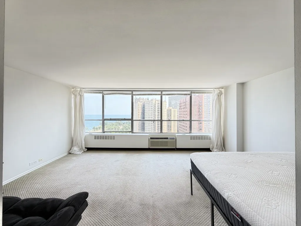 4800 S  Beach Dr, ,  60615, USA 60615-unit#1808S-Chicago-IL