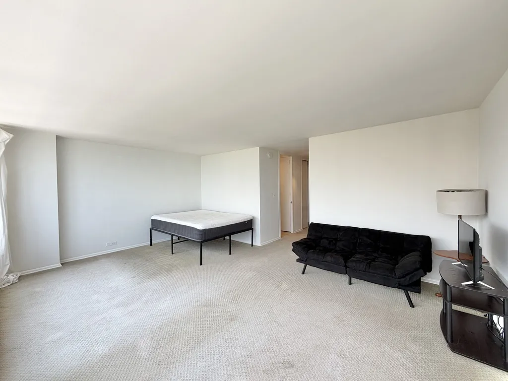 4800 S  Beach Dr, ,  60615, USA 60615-unit#1808S-Chicago-IL