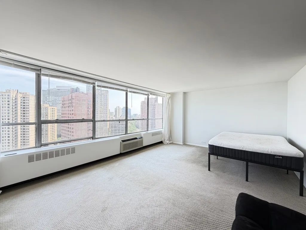 4800 S  Beach Dr, ,  60615, USA 60615-unit#1808S-Chicago-IL