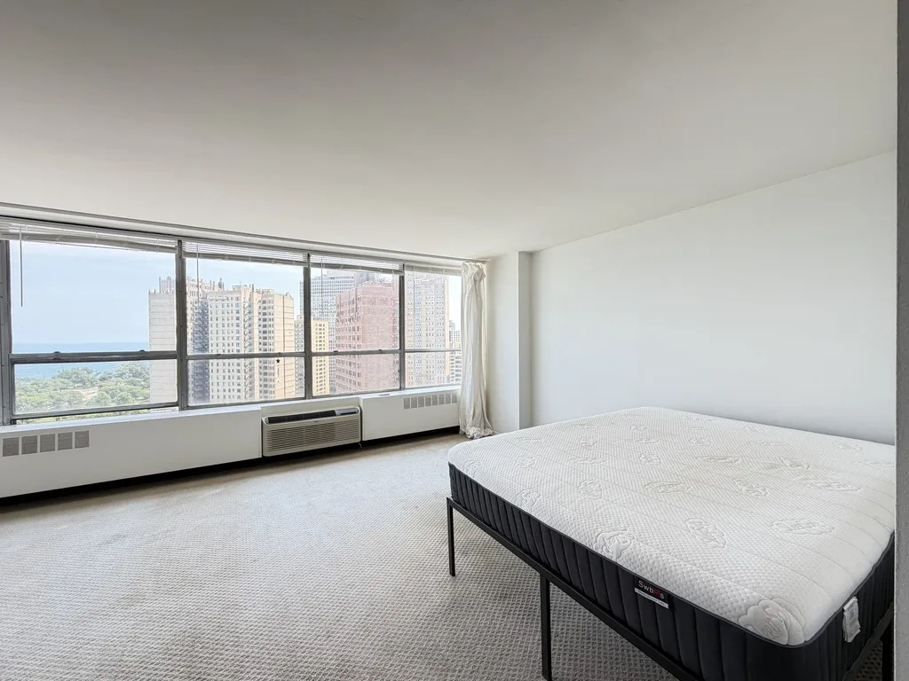 4800 S  Beach Dr, ,  60615, USA 60615-unit#1808S-Chicago-IL