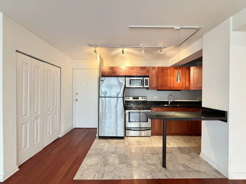 4180 N Marine Dr, ,  60613, USA 60613-unit#1304-Chicago-IL