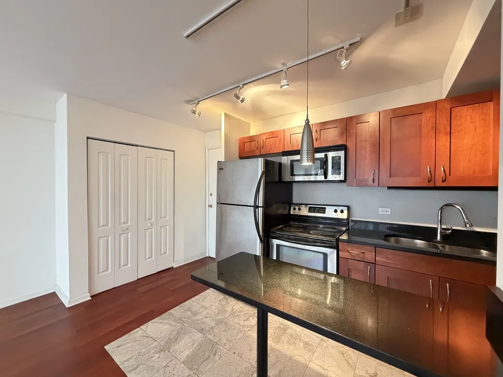 4180 N Marine Dr, ,  60613, USA 60613-unit#1304-Chicago-IL