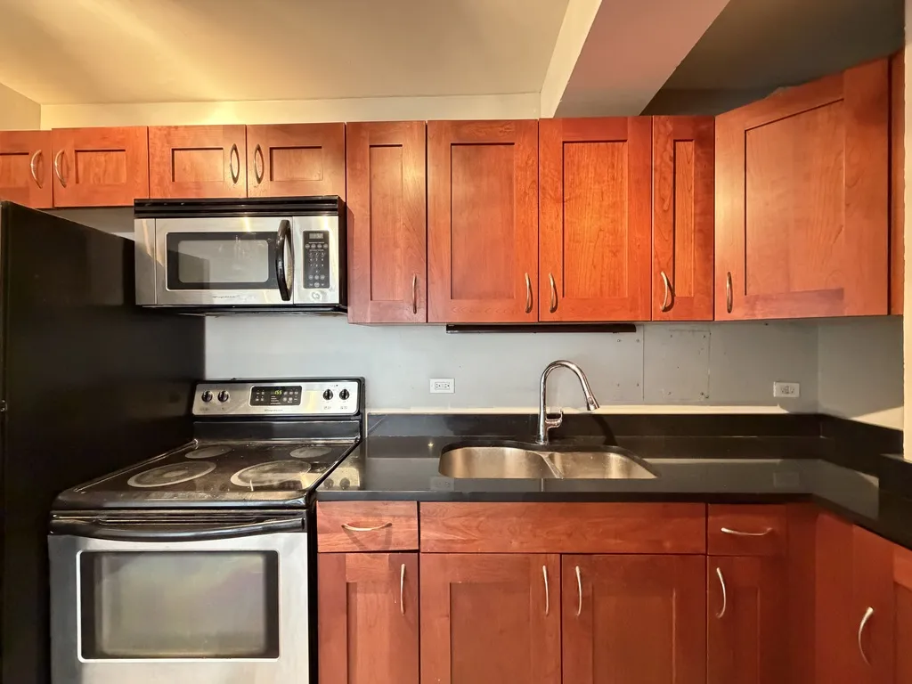 4180 N Marine Dr, ,  60613, USA 60613-unit#1304-Chicago-IL