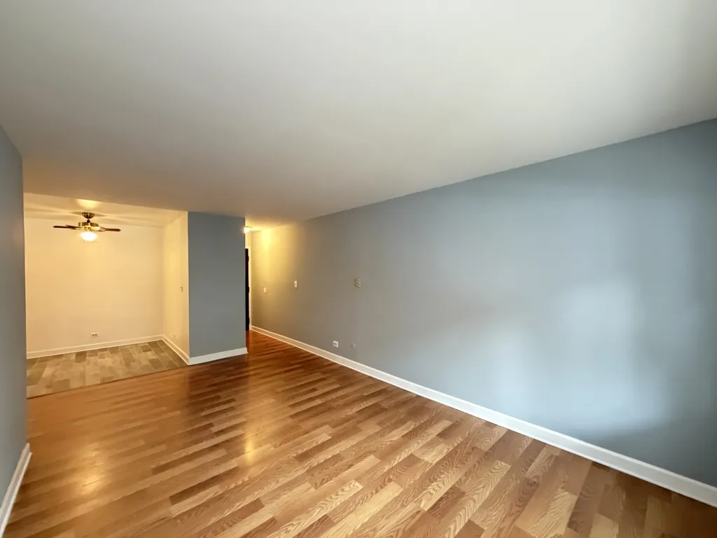 3825 N Pine Grove Ave, , 60613, USA 60613-unit#213-Chicago-IL