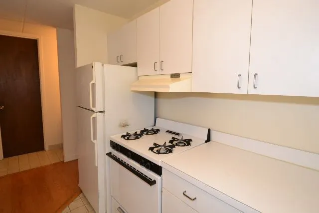 622 W Wellington Ave, ,  60657, USA 60657-unit#2-Chicago-IL