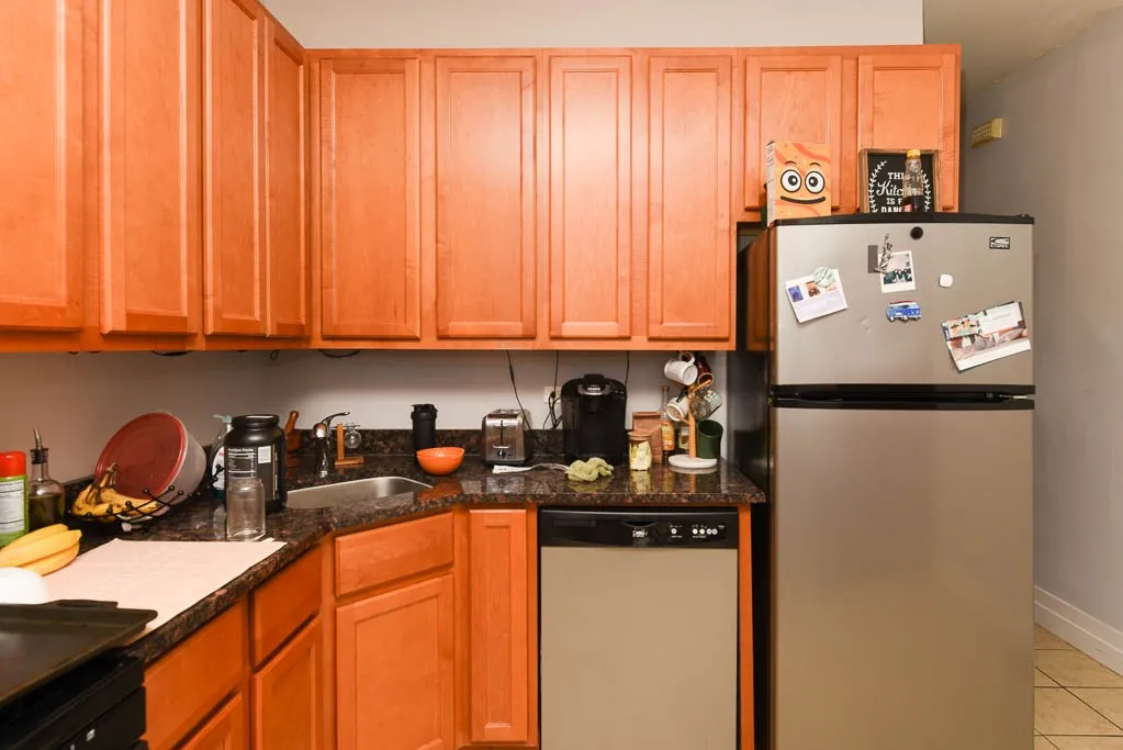 1358 W Barry Ave, , 60657, USA 60657-unit#1W-Chicago-IL