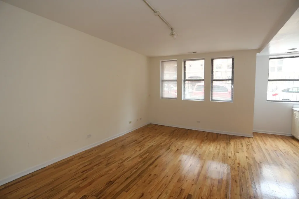 917 W Dakin St, ,  60613, USA 60613-unit#101-Chicago-IL