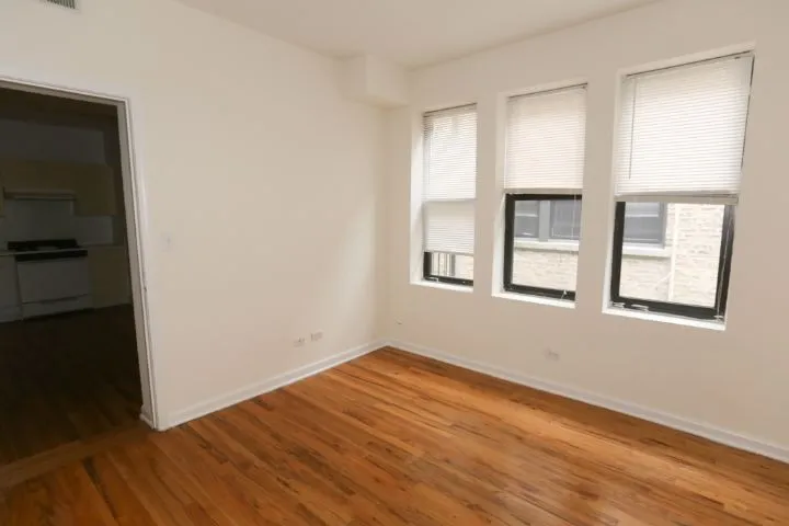 917 W Dakin St, ,  60613, USA 60613-unit#405-Chicago-IL