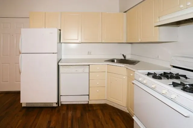 917 W Dakin St, ,  60613, USA 60613-unit#204-Chicago-IL