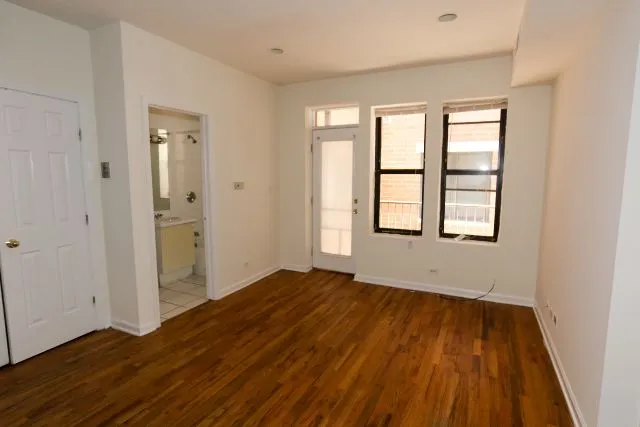 917 W Dakin St, ,  60613, USA 60613-unit#204-Chicago-IL
