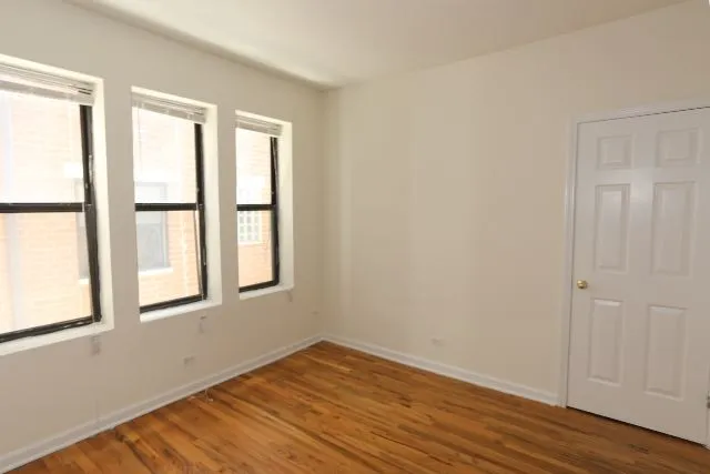 917 W Dakin St, ,  60613, USA 60613-unit#204-Chicago-IL