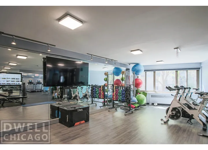 1350 N Lake Shore Dr, ,  60610, USA 60610-unit#200306-Chicago-IL