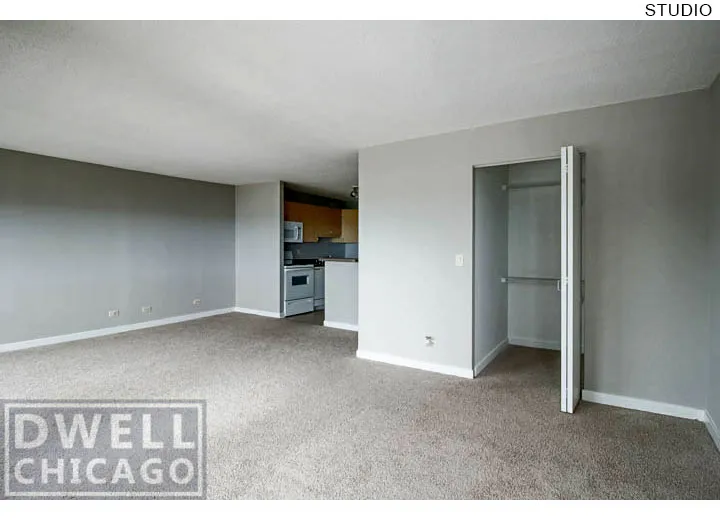 1212 S Michigan Ave, ,  60605, USA 60605-unit#2409-Chicago-IL