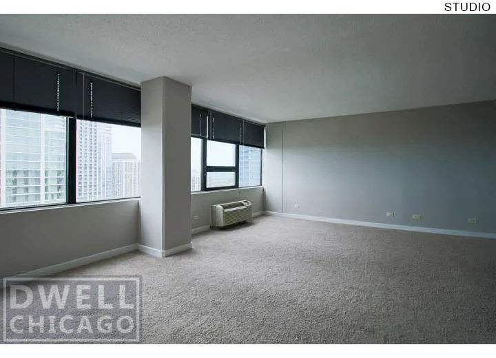 1212 S Michigan Ave, ,  60605, USA 60605-unit#2409-Chicago-IL