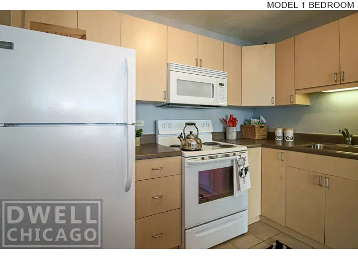 1212 S Michigan Ave, ,  60605, USA 60605-unit#2409-Chicago-IL