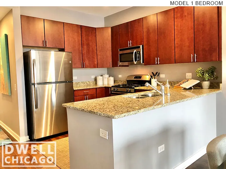730 S Clark St, ,  60605, USA 60605-unit#2110-Chicago-IL