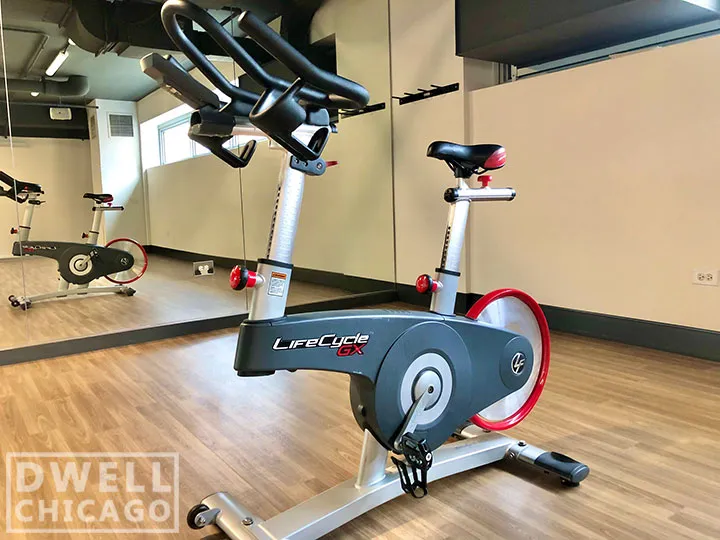 730 S Clark St, ,  60605, USA 60605-unit#2110-Chicago-IL