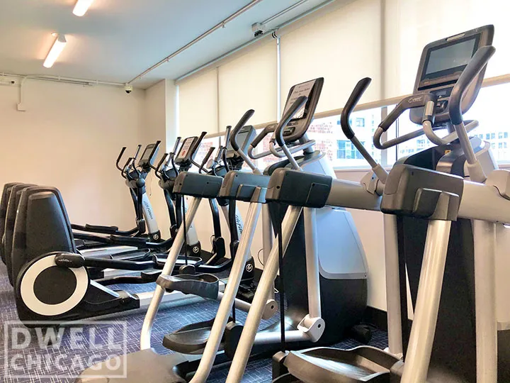 730 S Clark St, ,  60605, USA 60605-unit#2110-Chicago-IL