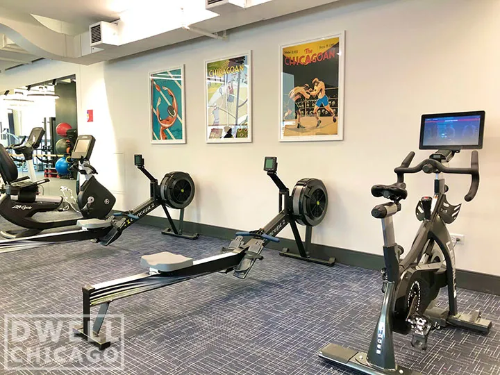 730 S Clark St, ,  60605, USA 60605-unit#2110-Chicago-IL