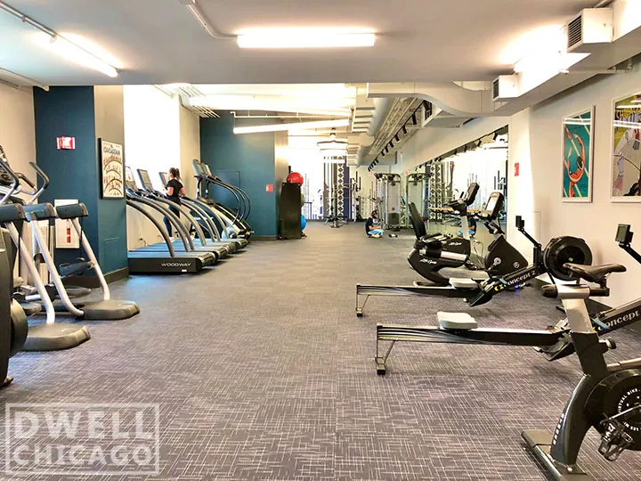 730 S Clark St, ,  60605, USA 60605-unit#2110-Chicago-IL