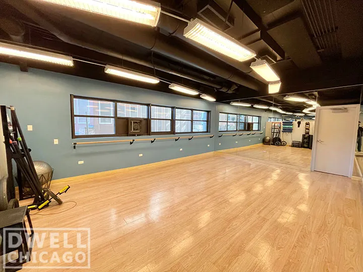 1130 S Michigan Ave, ,  60605, USA 60605-unit#3612-Chicago-IL