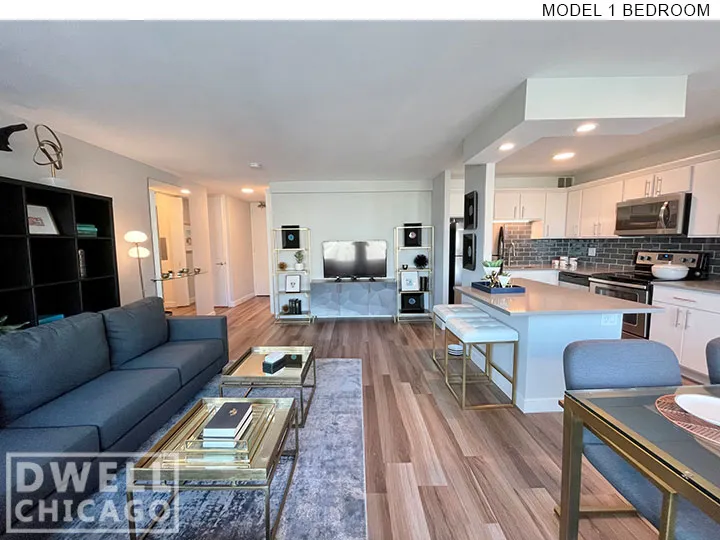 1130 S Michigan Ave, ,  60605, USA 60605-unit#3612-Chicago-IL