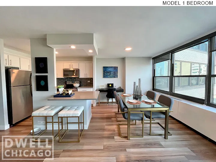 1130 S Michigan Ave, ,  60605, USA 60605-unit#3612-Chicago-IL