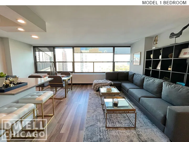 1130 S Michigan Ave, ,  60605, USA 60605-unit#3612-Chicago-IL