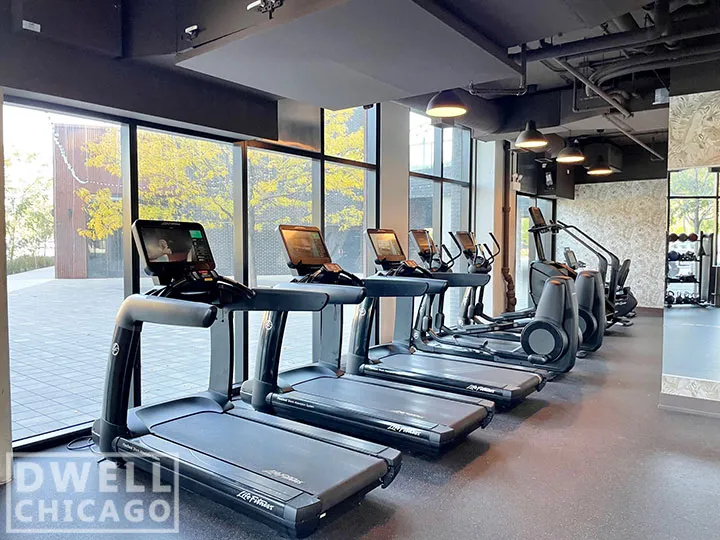 1461 S Blue Island Ave, , 60608, USA 60608-unit#319-Chicago-IL