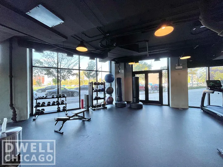 1461 S Blue Island Ave, ,  60608, USA 60608-unit#423-Chicago-IL