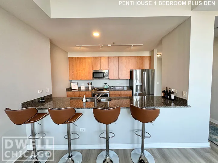 730 S Clark St, ,  60605, USA 60605-unit#2110-Chicago-IL